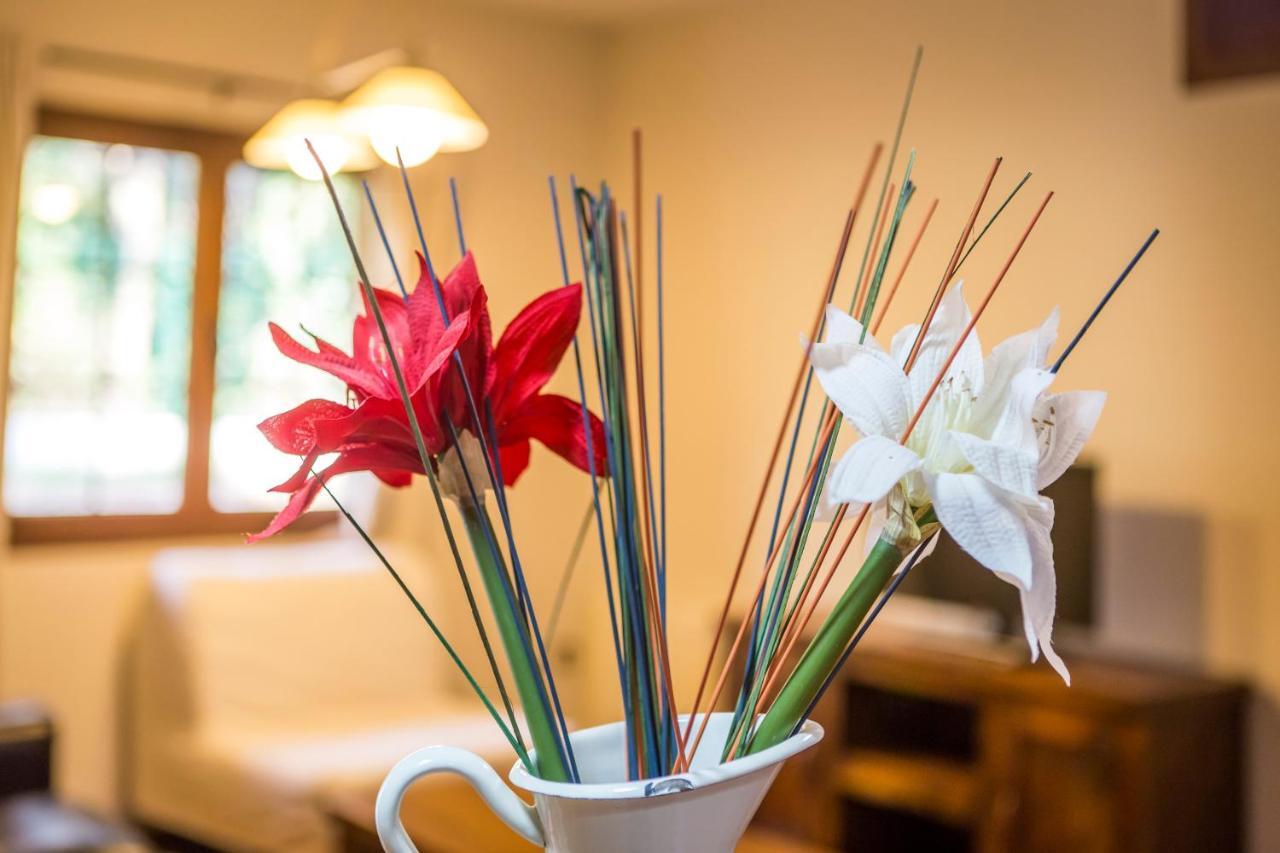 Apartamentos Rincon Del Duende San Martin  外观 照片